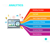 Web Analytics